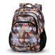 Backpack Dolly 530