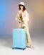 Large Suitcase David Jones BA-8001