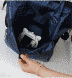 Spacious and Stylish Backpack Himawari FSO-H 001 with Chest Strap