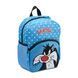 Дитячий рюкзак + пенал у подарунок Roncato LOONEY TUNES KIDS 441003/18 441003/18 фото 1