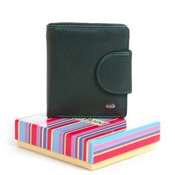 Кошелек Rainbow Женский кожа DR. BOND WRS-415-1 green 40825 фото