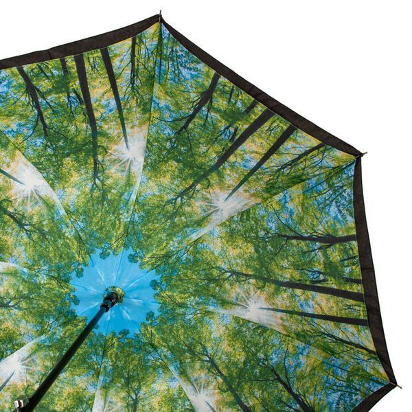 Парасолька-тростина жіноча Fulton Bloomsbury-2 L754-036600 Sunburst (Сонячні промені) L754-036600 фото