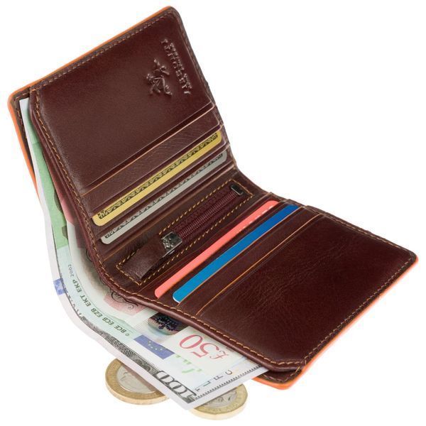 Гаманець чоловічий Visconti ALP92 Tignes (Brown) ALP92 BRN фото