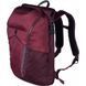 Рюкзак Victorinox Altmont Active Deluxe Rolltop Laptop с відділ. д/ноутбука 15" Бордо (20л) (29x48x18) Vt602138 фото 1